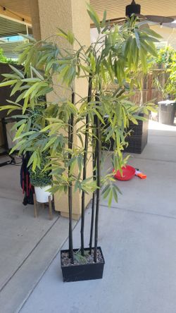 decorative tree