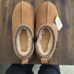australian shepherd uggs 
