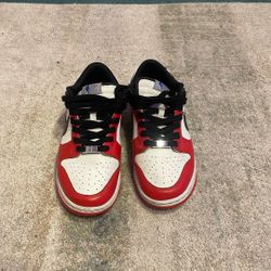 Nike dunk low EMB (NBA 75th aniversery chicago)