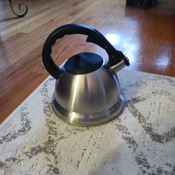 Stainless steel Tea Kettle