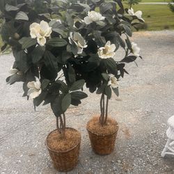 Five Foot Artificial  Magnolia Trees