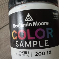 Benjamin Moore & Sherwin Williams 8 oz Paint Samples