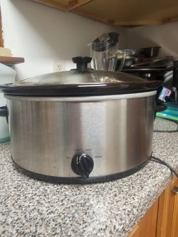 Stainless Steel Slow Cooker with Glass Lid