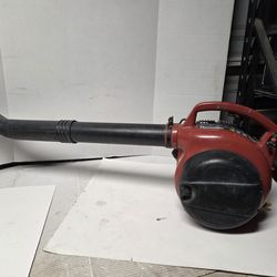 Homelite leave blower  does not starts