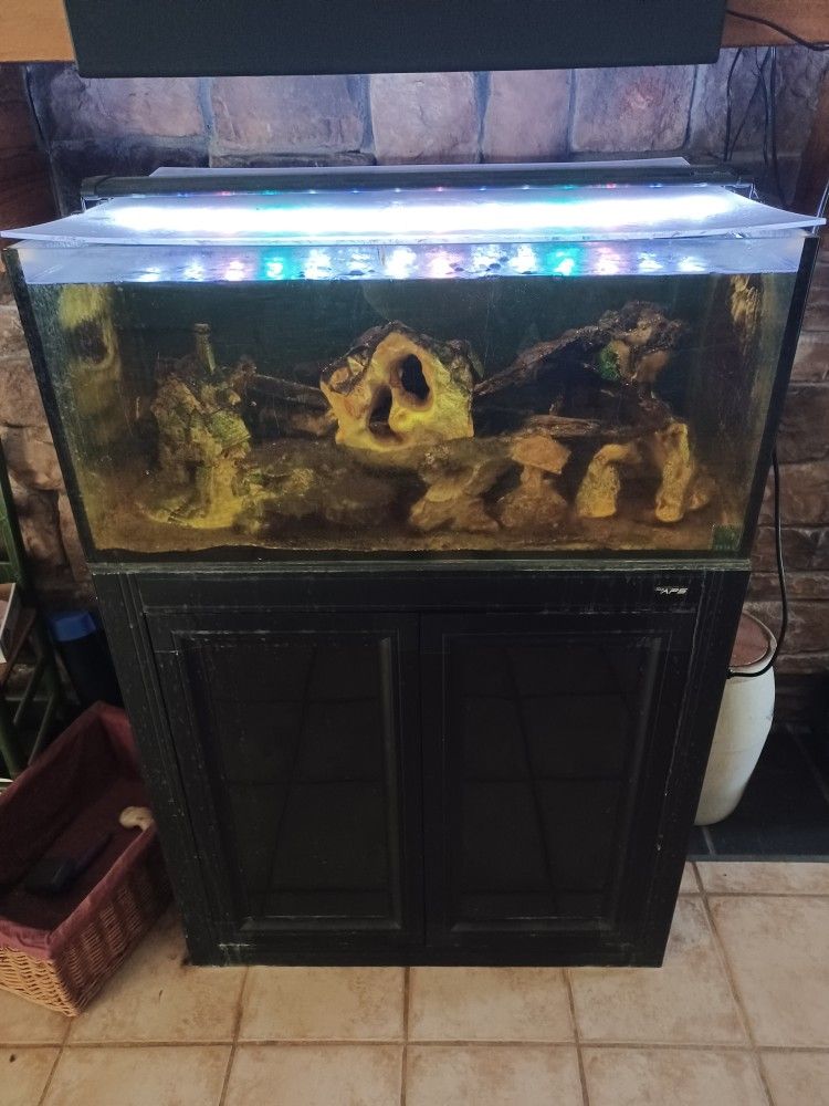 50 Gal Innovative Marine Aquarium