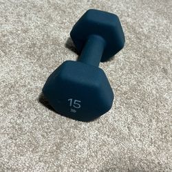 15 Pound Dumbbell