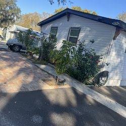 Mobile Home 