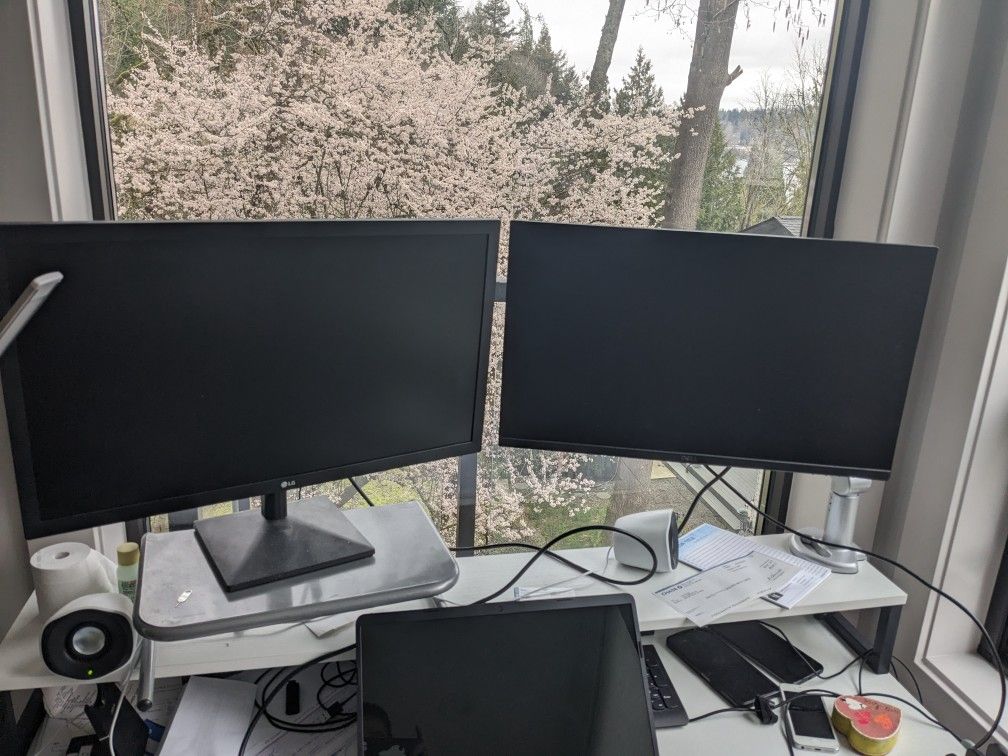 Dell And LG Monitor