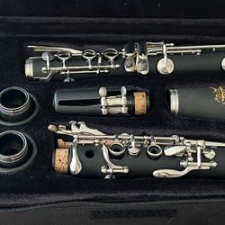 Jean Paul clarinet with carry case in excellent condition. $80