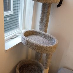 Cat Tree