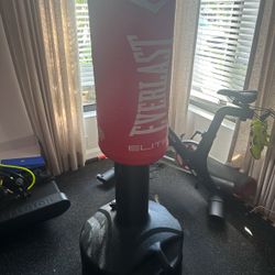 Youth Heavy Bag, Punching Bag With Stand 
