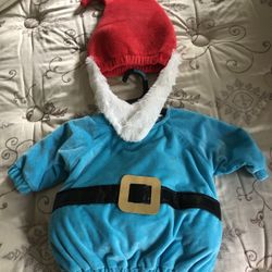 Baby Gnome Costume