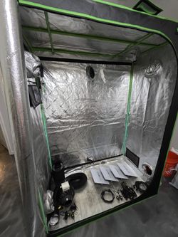 Indoor Grow Setup