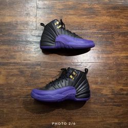 Field purple Jordan 12s