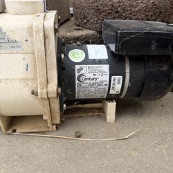 Pool Motor 