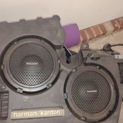 2 10 Subwoofers From A 2016 Dodge Challenger Srt8 