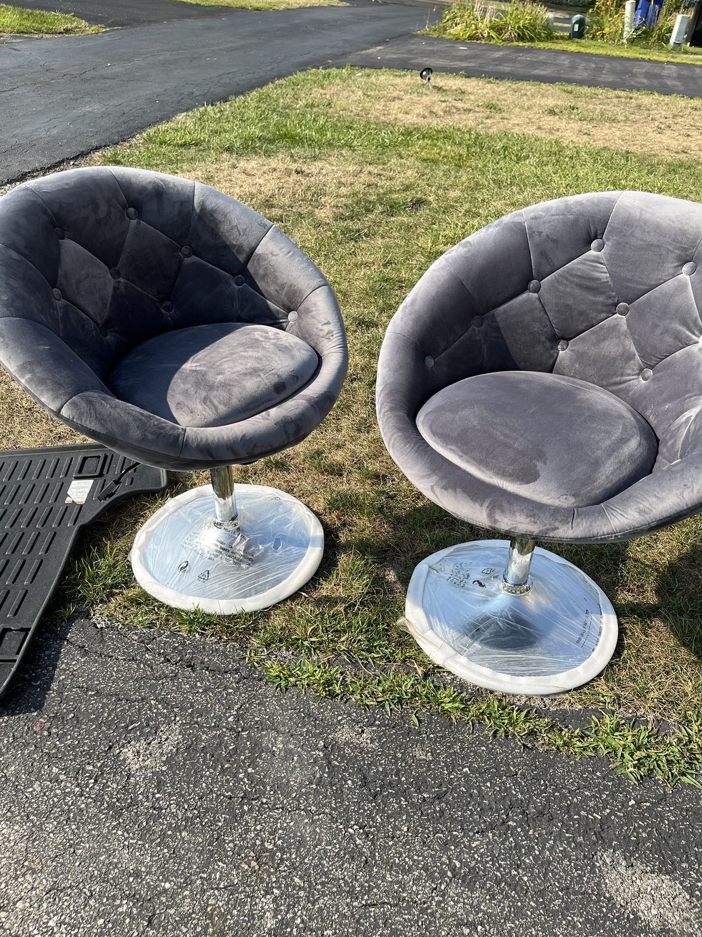 Gray News 