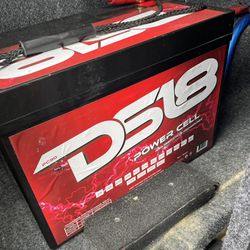DS18 Battery