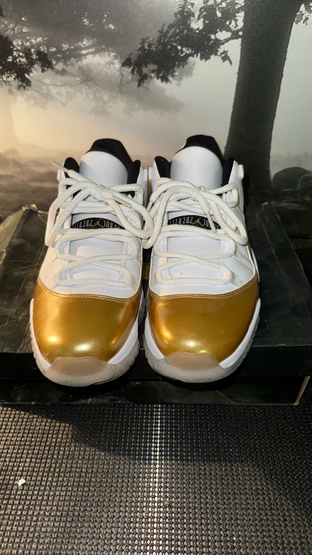 AIR JORDAN 11s RETRO LOW
