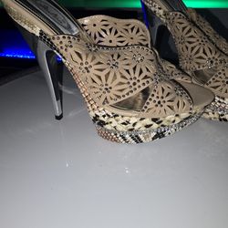 4in Snake Skin Shoe 