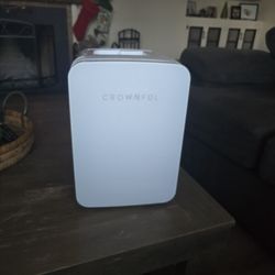 Cosmetic Cooler Refrigerator 