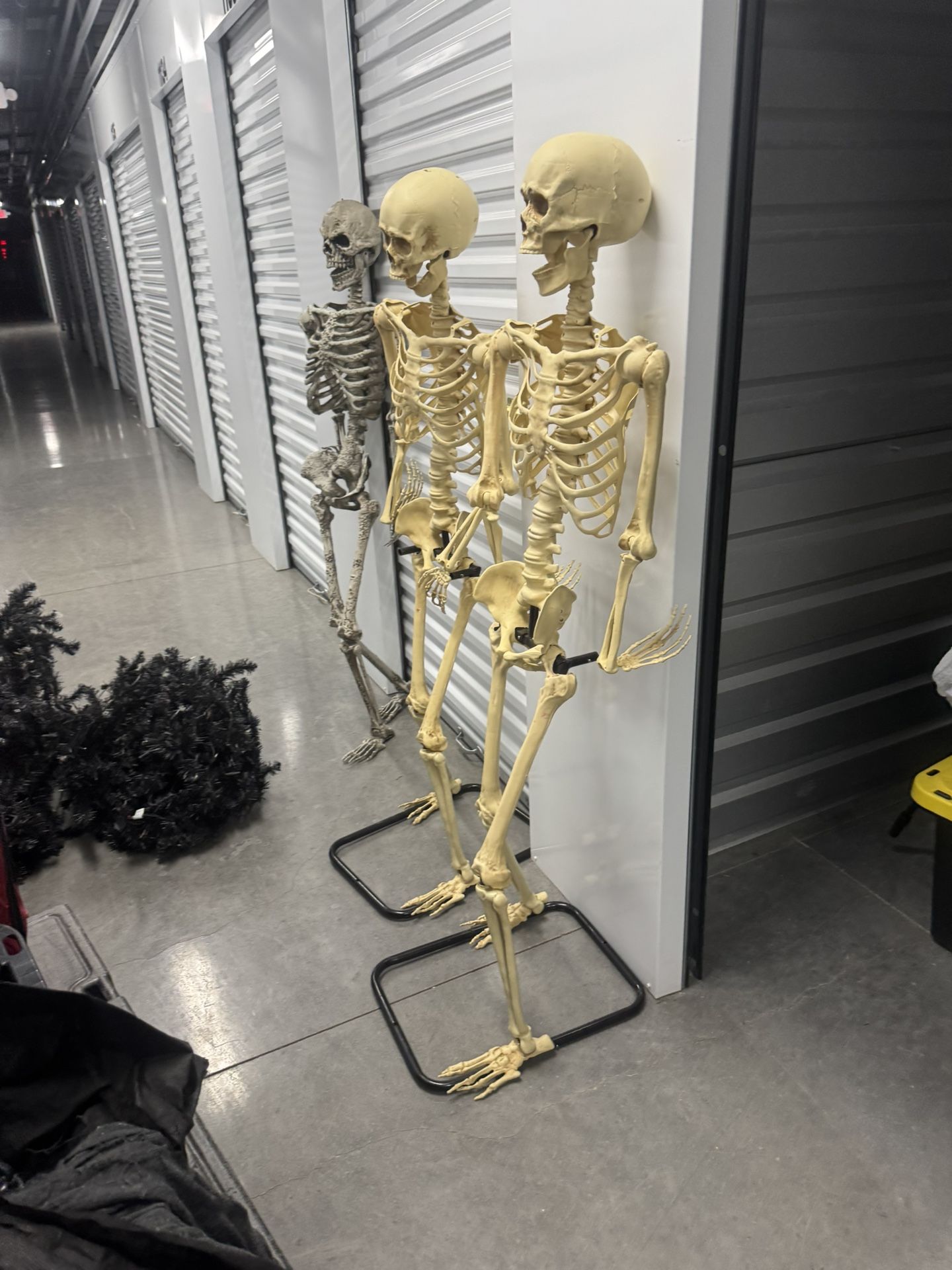 HALLOWEEN ENTHUSIASTS REJOICE! Skeletons Witches Coffin