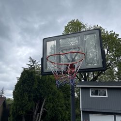 FREE Basketball Hoop