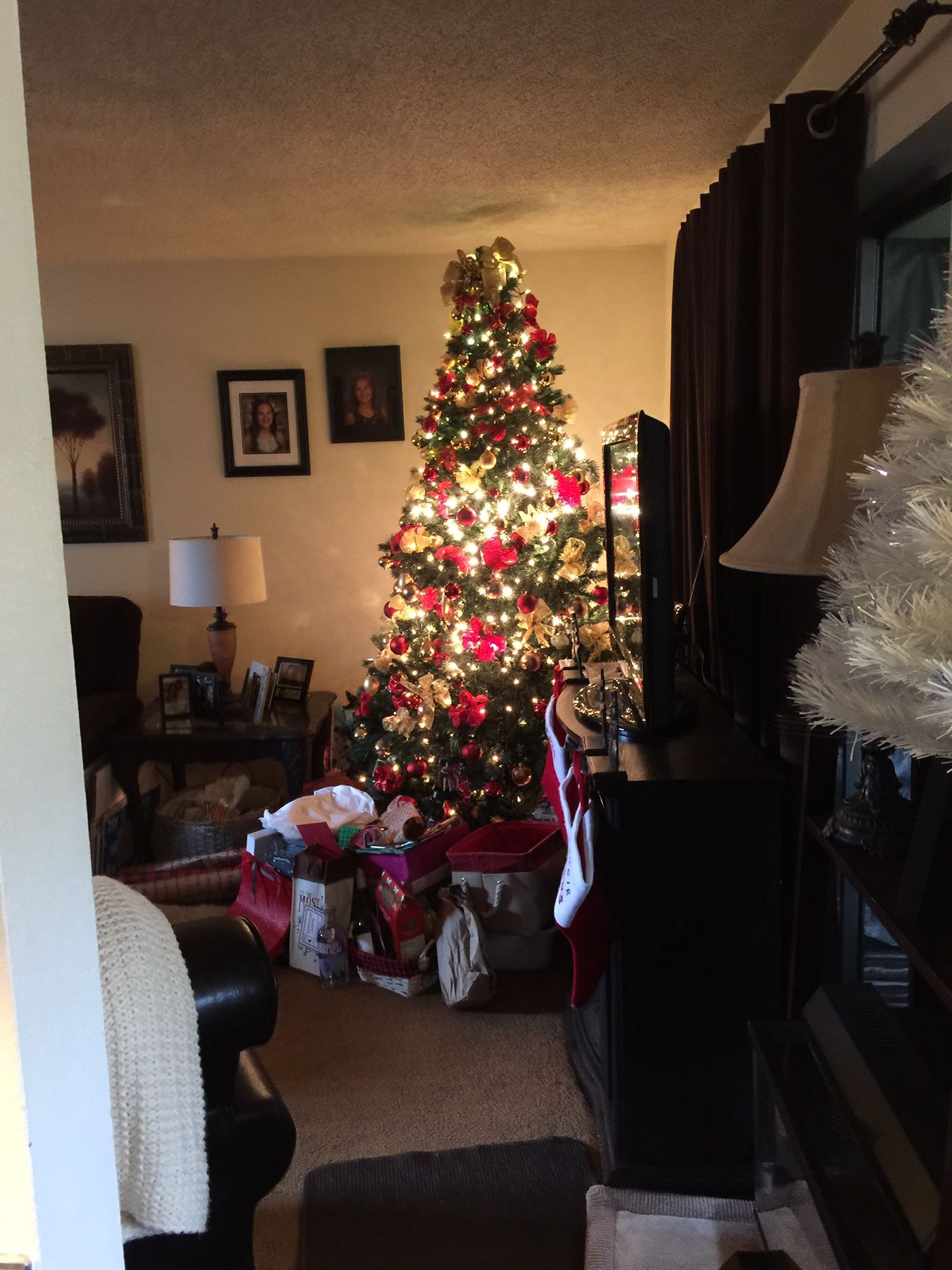 Free. 7 ft. Christmas Tree with Lights.