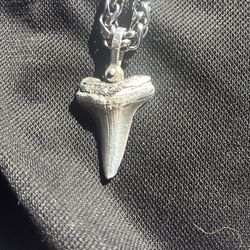 Silver shark tooth necklace