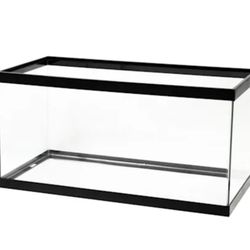 40 Gallon Fish Tank