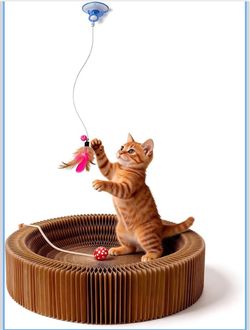 16 Inch Collapsible Round Cat Scratcher Lounge Bed,Interactive Cat Toy