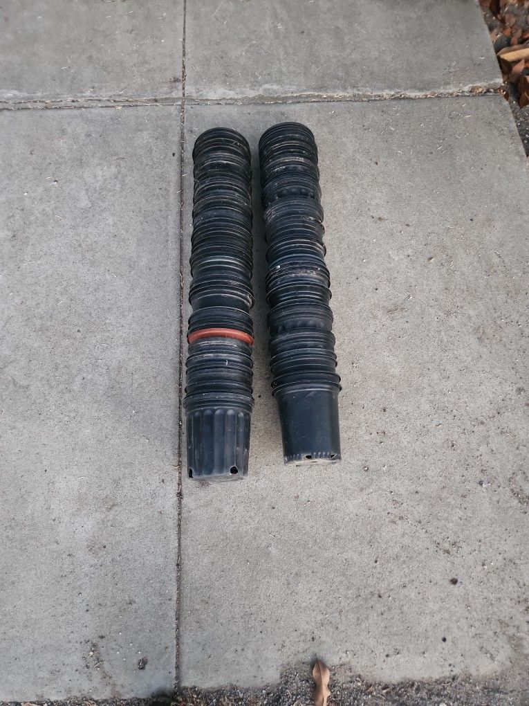 65 ONE GALLON PLASTIC POTS