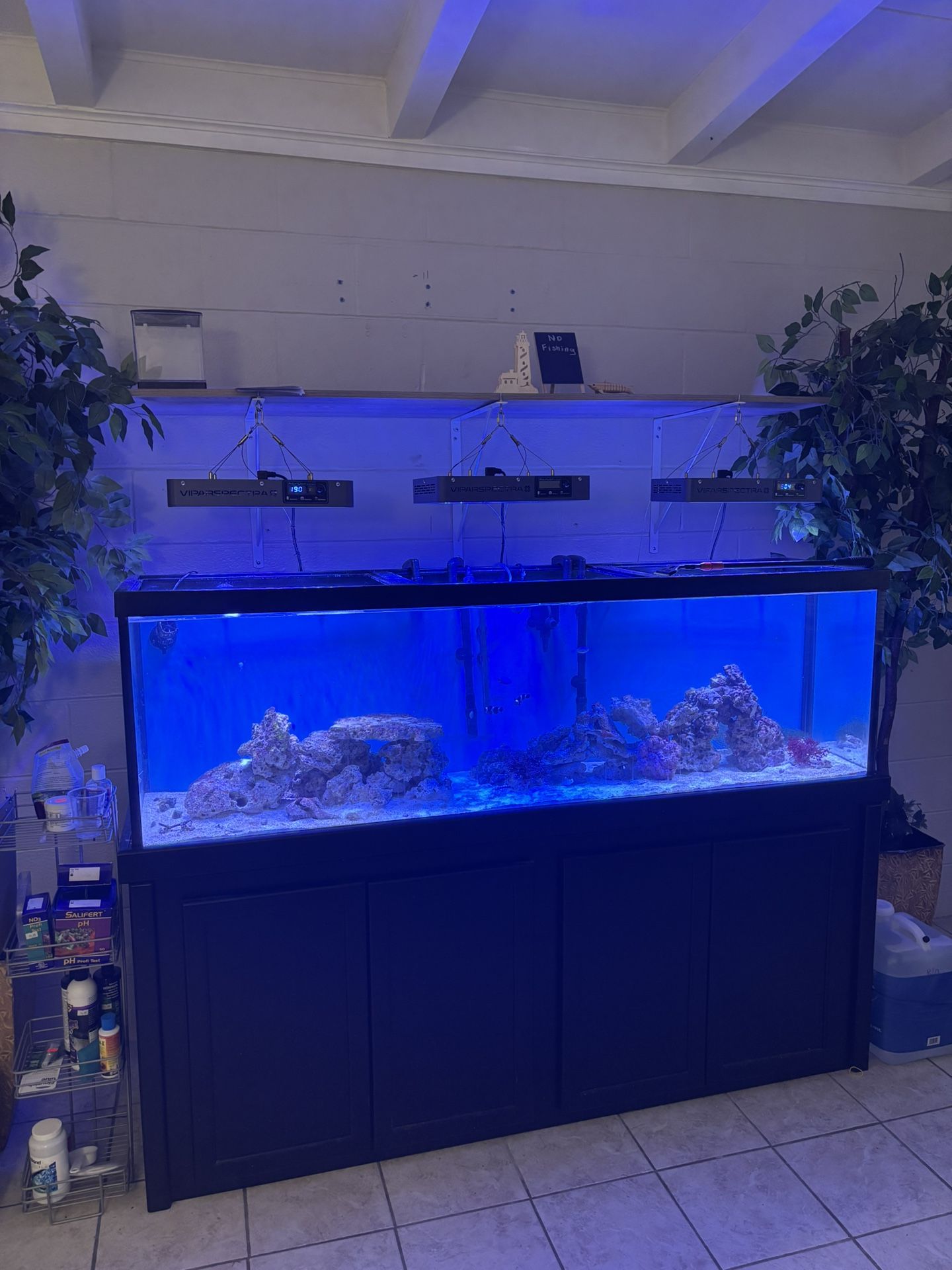 125 Gallon Complete Salt Water Up And Running