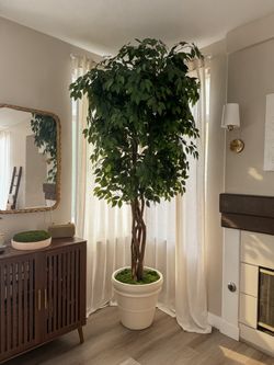 8’9” Oversized Faux Indoor Tree – Natural Trunks + Cream Planter 🌿