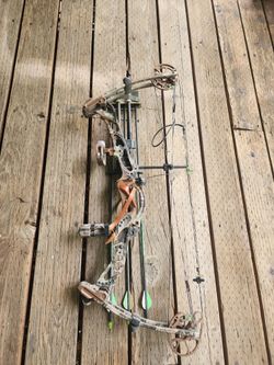 Compound Bow Alpine Archery