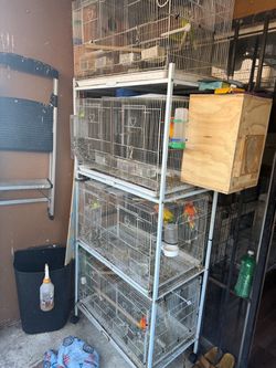 Cage for birds