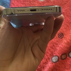 iPhone 13 Pro Max :)