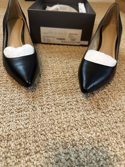 Ann Taylor