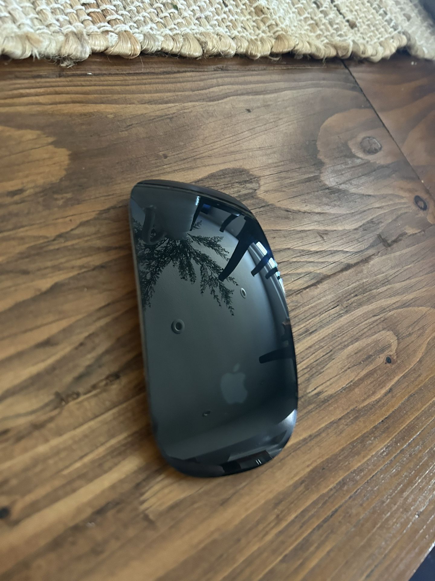 Magic Mouse 2