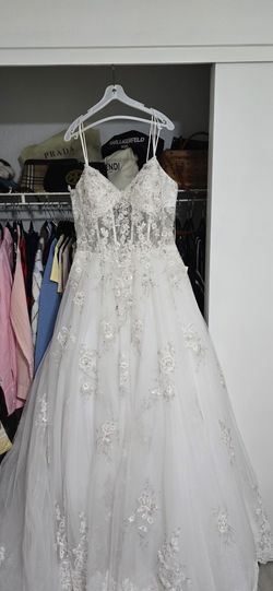 Beautiful Bridal Gown and Veil