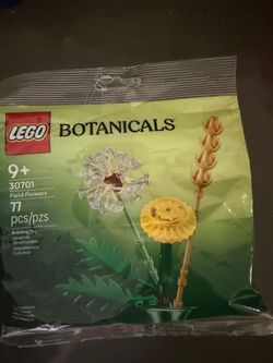 LEGO Botanicals Field Flowers Polybag 30701