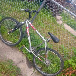 Schwin Bike