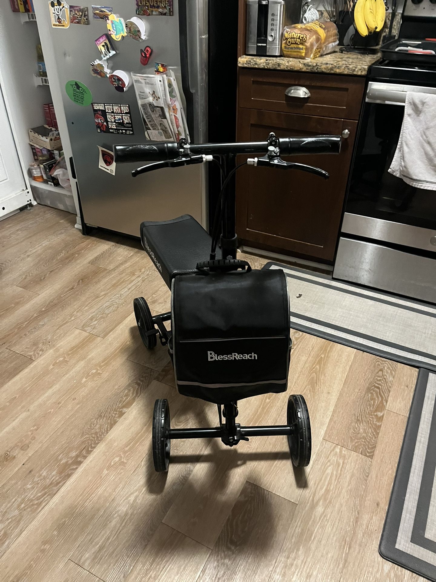 Bless Reach Mobility Scooter