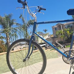 Schwinn Mesa Runner Vintage Bike