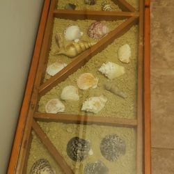 Shadow Box Seashore Coffee Table