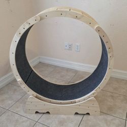 Rueda De Ejercicios Para Gato