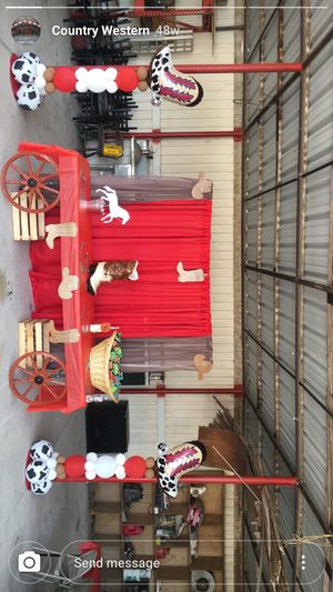 New And Used Party Decorations For Sale In Humble Tx Offerup