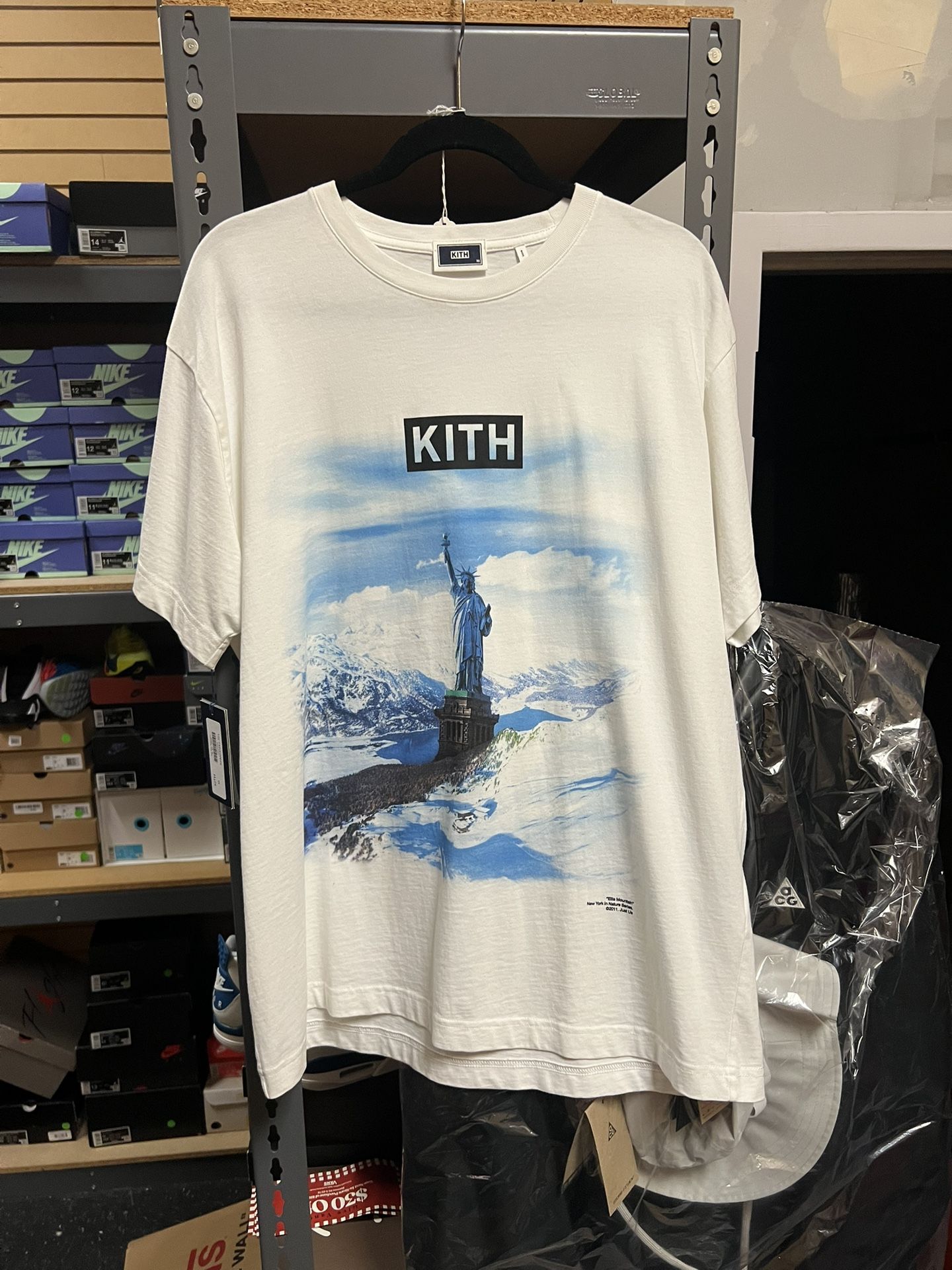 Kith Ellis Mountain Tee Sz M