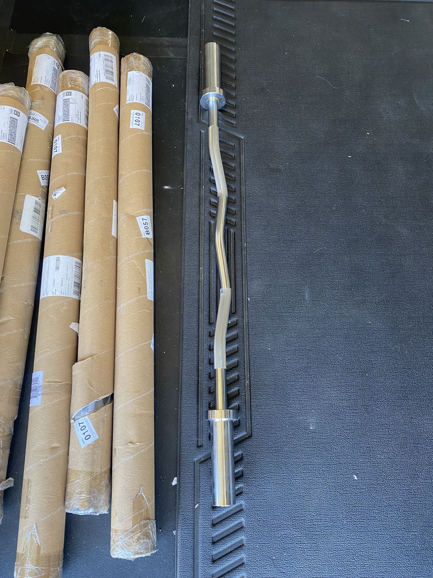 Brand New Olympic Curl Bar