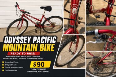 Pacific Odyssey Mountain Bike